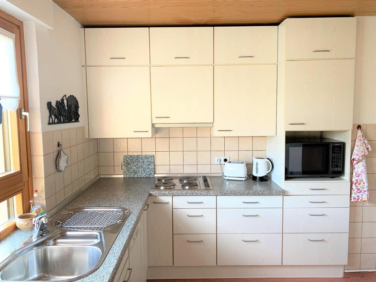 Bodensee Apartment Friedrichshafen Manzell Exteriér fotografie